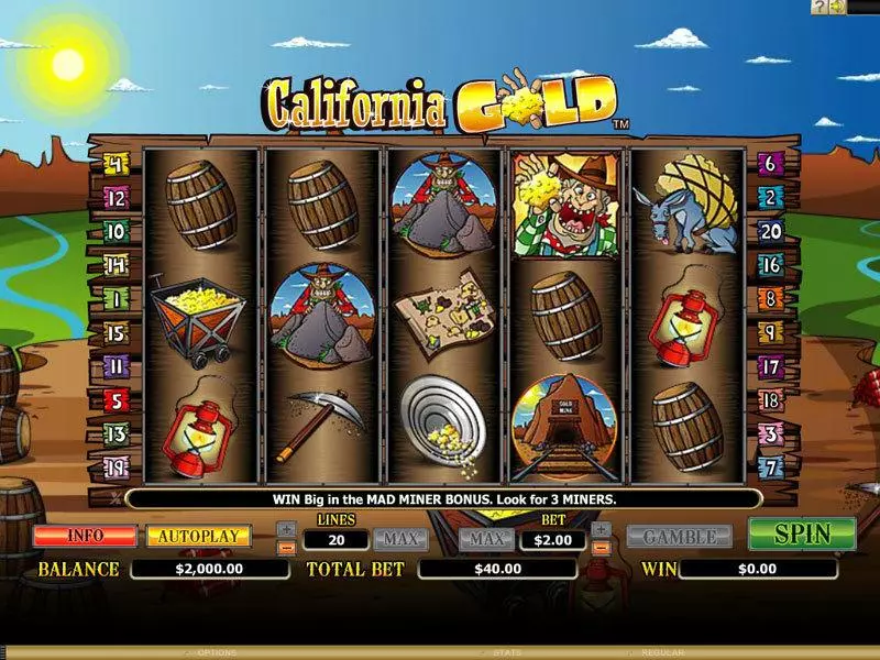 California Gold Microgaming 5 Reel 20 Line