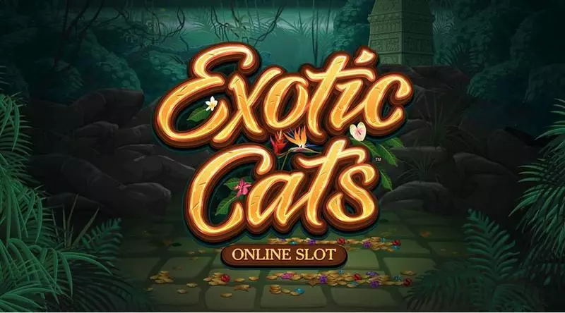 Exotic Cats Microgaming 5 Reel 243 Line