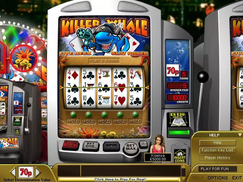Killer Whale Poker Boss Media 5 Reel 1 Line