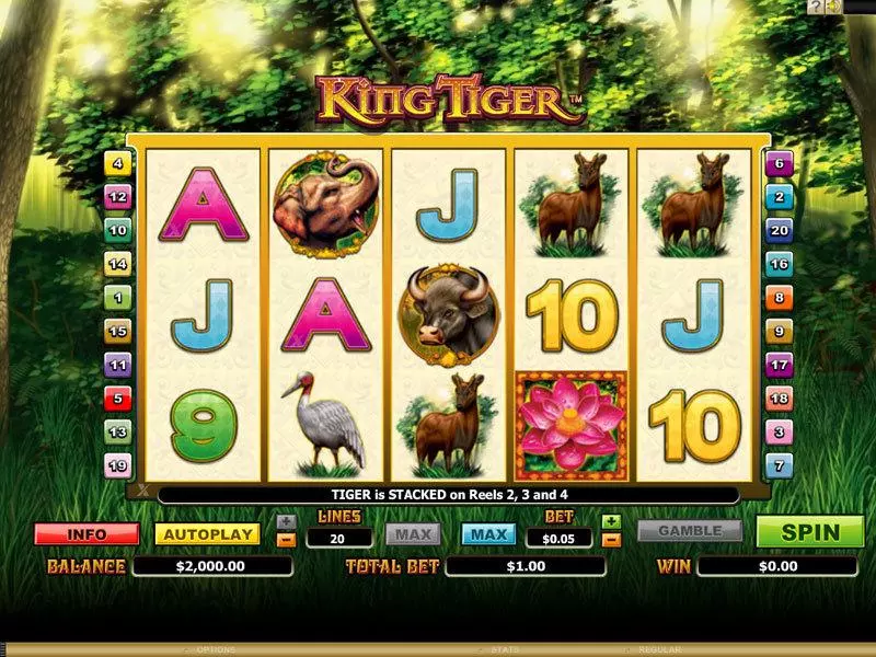 King Tiger Microgaming 5 Reel 20 Line