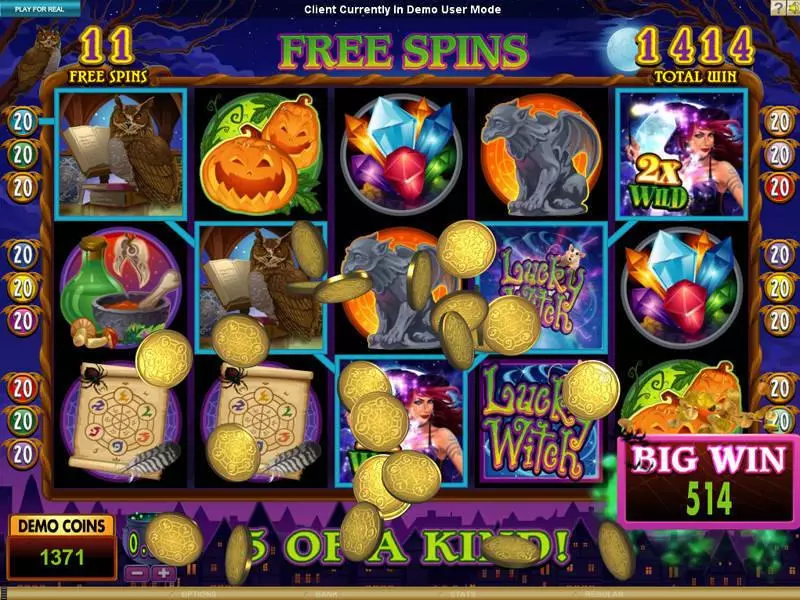 Lucky Witch Microgaming 5 Reel 15 Line
