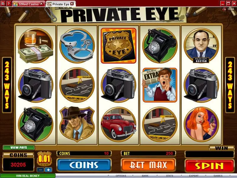 Private Eye Microgaming 5 Reel 243 Line