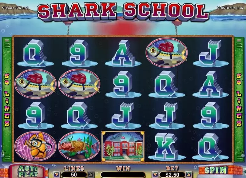 Shark School RTG 5 Reel 50 Line