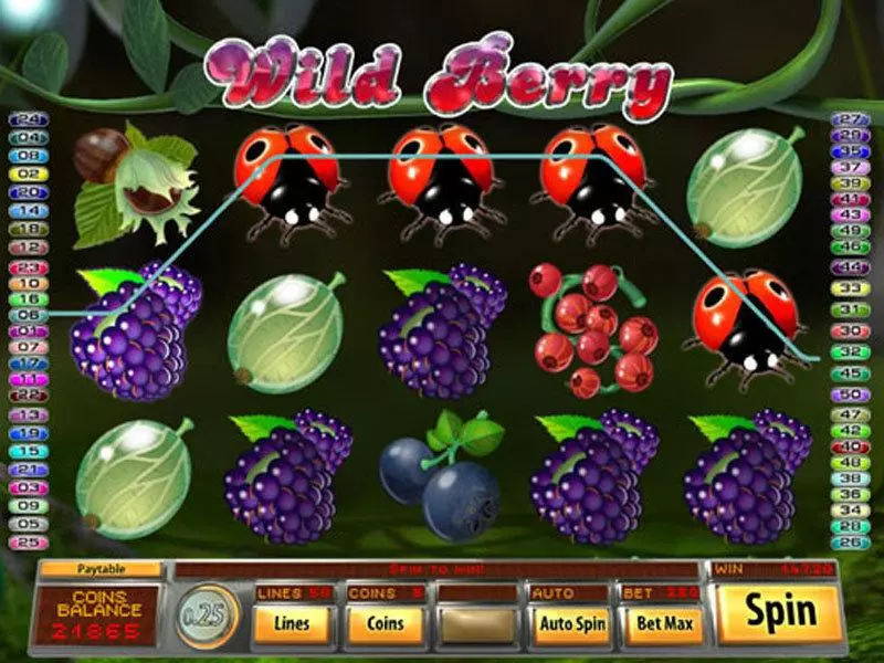 Wild Berry Saucify 5 Reel 50 Line