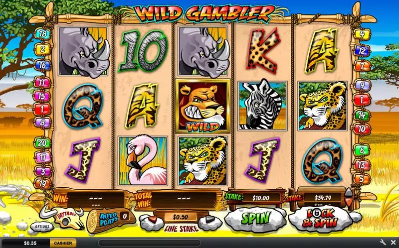 Wild Gambler Ash Gaming 5 Reel 20 Line